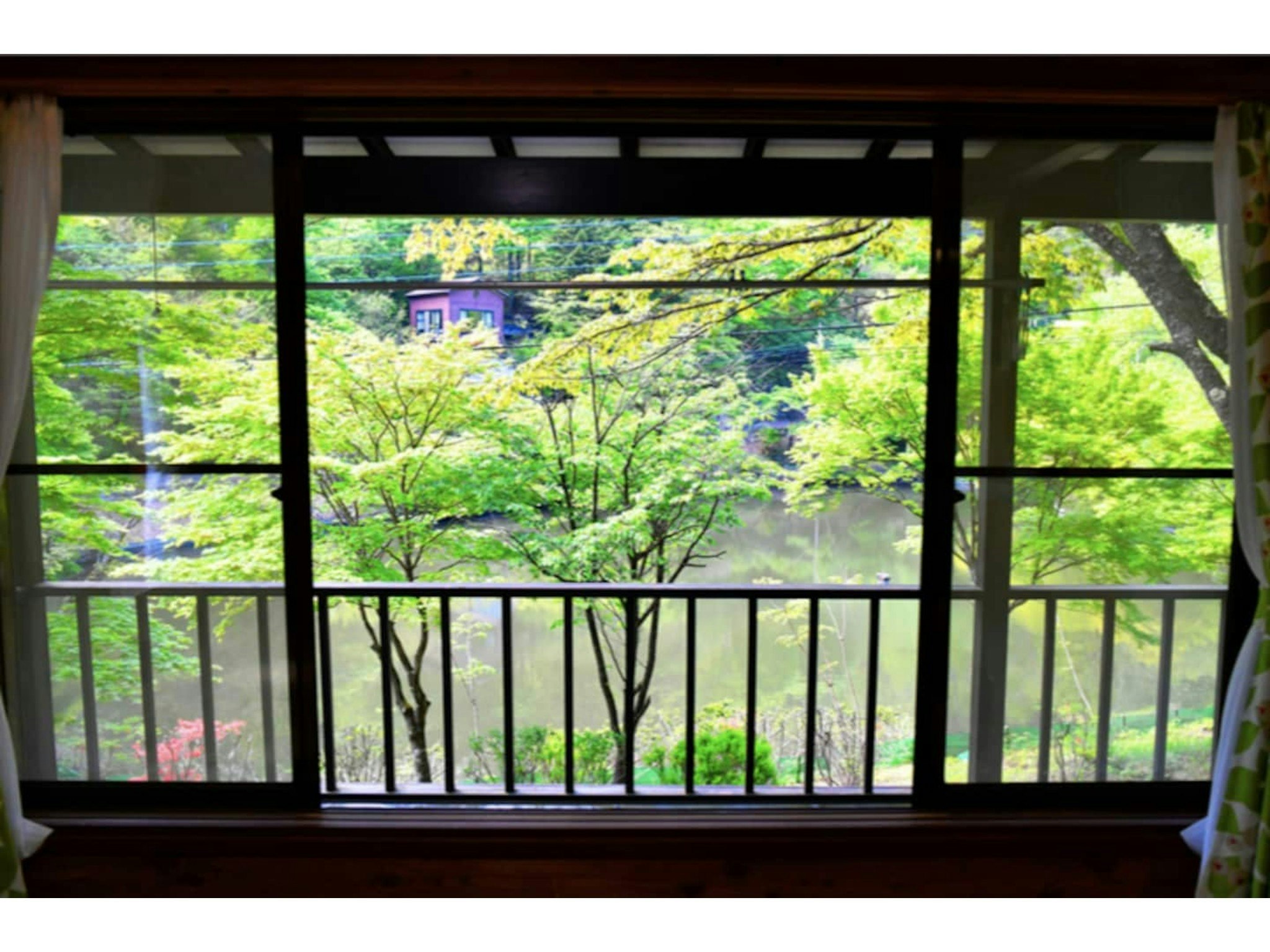 大切なワンちゃんと共に・四季の彩りが鮮やかなレイクビューハウス/軽井沢駅から車で10分